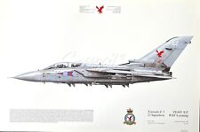 Tornado squadron print for sale  STAMFORD