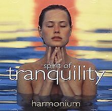 Spirit tranquility harmonium gebraucht kaufen  Berlin