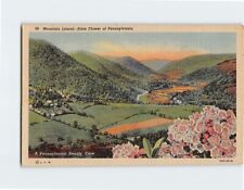 Postcard mountain laurel for sale  Shipping to Ireland