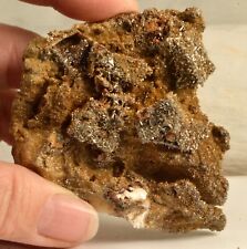 #5648  Descloizite on Wulfenite - Los Lamentos, Mexico for sale  Shipping to South Africa