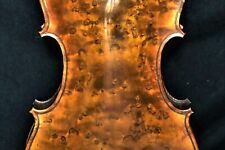 Violin lab charotte gebraucht kaufen  Deutschland
