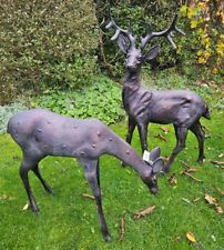 Extra large stag for sale  Shipping to Ireland