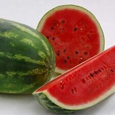 All sweet watermelon for sale  Tarpon Springs