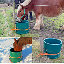 Wassertrog frostfrei pferd gebraucht kaufen  Großenwiehe