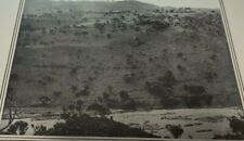 1902 Print BRITISH TROOPS ADVANCING TOWARD ENEMY PIETER'S HILL Anglo-Boer War  for sale  Shipping to South Africa