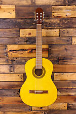 Lucero lc100 classical for sale  Lone Jack