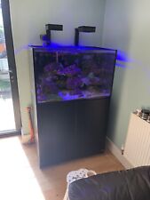 marine aquarium setup for sale  MAIDSTONE