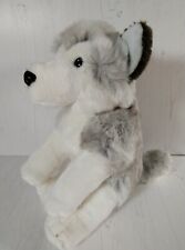 Siberian husky alaskan for sale  DURHAM