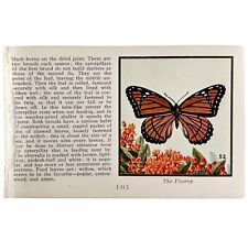 Viceroy butterfly 1934 for sale  Cambridge