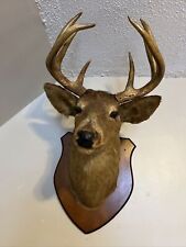 Vintage white tail for sale  Marlborough