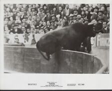 bull fight picture for sale  San Antonio