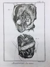 Anatomy 1779 nephrology d'occasion  Tuchan