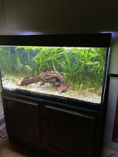 Juwel aquarium 200l gebraucht kaufen  Deutschland