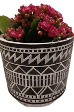 Blumentopf keramik gebraucht gebraucht kaufen  Düren