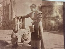 woman in a beautiful dress feeds chickens in the garden. vintage photo.√2 for sale  Shipping to South Africa