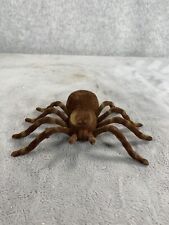 Large tarantula spider for sale  League City