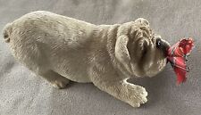 english bulldog for sale  ANDOVER