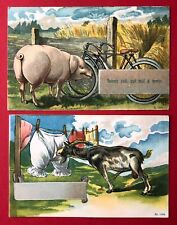Litho 1900 schwein gebraucht kaufen  Deutschland