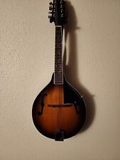 Mandolins musical instrument for sale  Cosmopolis