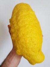 Citrus lemon cuttings for sale  BLACKBURN