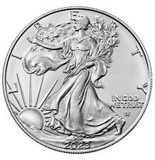 2023 silver eagle for sale  Bremerton