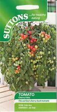 Cherry tomato seeds for sale  CARSHALTON