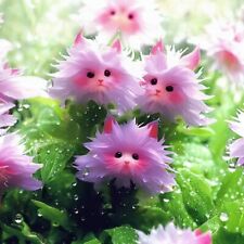 50 semillas ojo de gato deslumbrante semilla de flor púrpura segunda mano  Embacar hacia Argentina