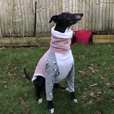 Greyhound dog snood for sale  HEMEL HEMPSTEAD