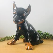 Goebel doberman puppy for sale  Michigan City
