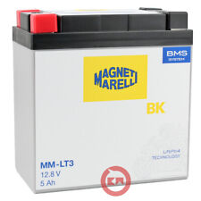 Batteria litio magneti usato  Italia