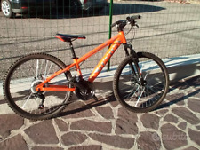 mountain bike 24 usato  Spilamberto