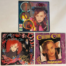 Lote de LPs de Vinil Culture Club Kissing to Be Clever Color by Numbers Waking Up House comprar usado  Enviando para Brazil