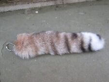 Cat lynx fur for sale  Chester