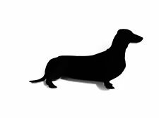 Dachshund wiener dog for sale  ANNAN