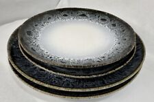 Vajilla de gres West Elm Reactive Glaze 4 piezas azul blanco negro marrón segunda mano  Embacar hacia Argentina