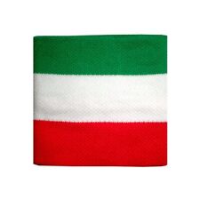 Polsini bandiera italia usato  Gazzada Schianno