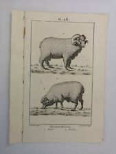 Planche gravure 1816 d'occasion  Aix-en-Provence-