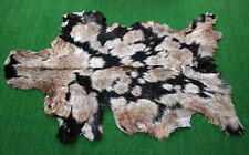 Nueva alfombra de piel de cabra alfombra de pelo en el área talla 36"x22" cuero animal piel de cabra G-5860 segunda mano  Embacar hacia Argentina