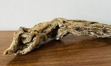 Interesting root wood for sale  CLACTON-ON-SEA