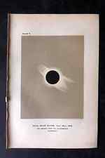 Ball 1901 Astronomy Print. Total Solar Eclipse 05 for sale  Shipping to South Africa