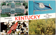 Greetings kentucky state for sale  Canton