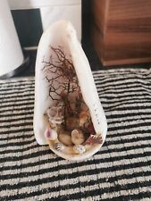 Sea shell garden for sale  WOODBRIDGE