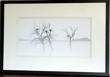 Framed photo trees for sale  Vancouver