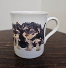 teacup yorkie dog for sale  MORECAMBE