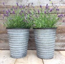 SECONDS Set 2 Grey Zinc Metal Garden Planters Flower Plant Pots Vintage Style for sale  Shipping to South Africa