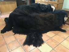 Buffalo hide rug for sale  Gordonville