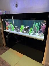 custom fish tanks for sale  CARSHALTON