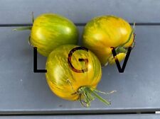 Graines tomates vertes d'occasion  Colombes