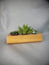 Poject wooden succulent for sale  Mooresville