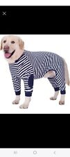 Miaododo striped dog for sale  SHEFFIELD